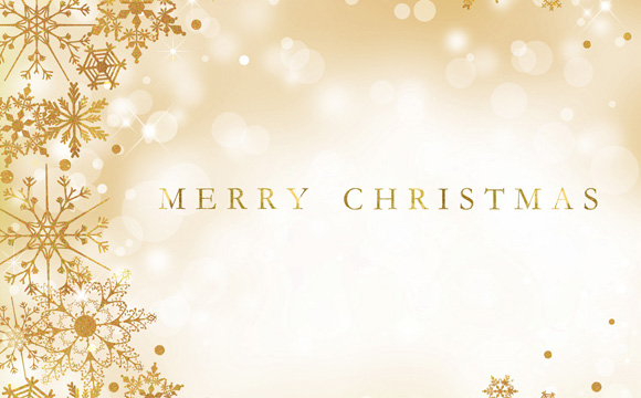 *★* Happy Merry Christmas *★*